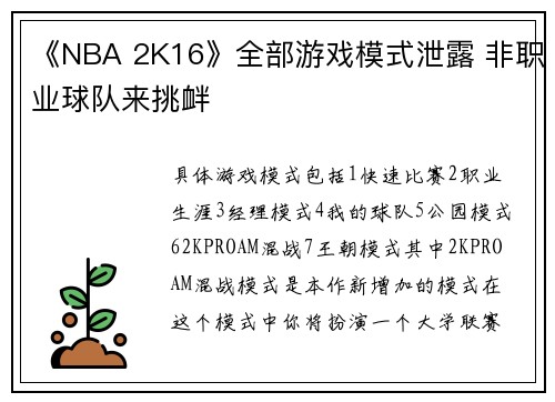 《NBA 2K16》全部游戏模式泄露 非职业球队来挑衅