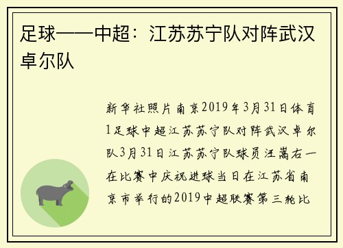 足球——中超：江苏苏宁队对阵武汉卓尔队