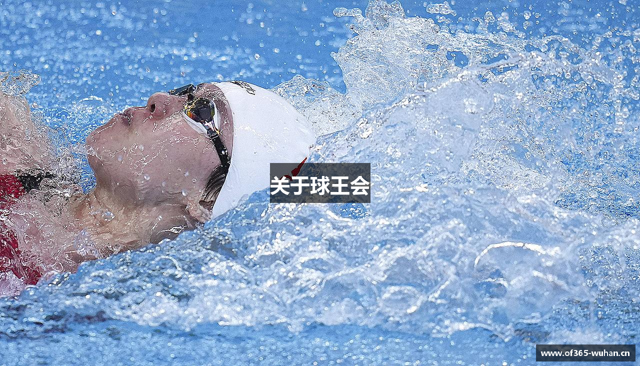 关于球王会